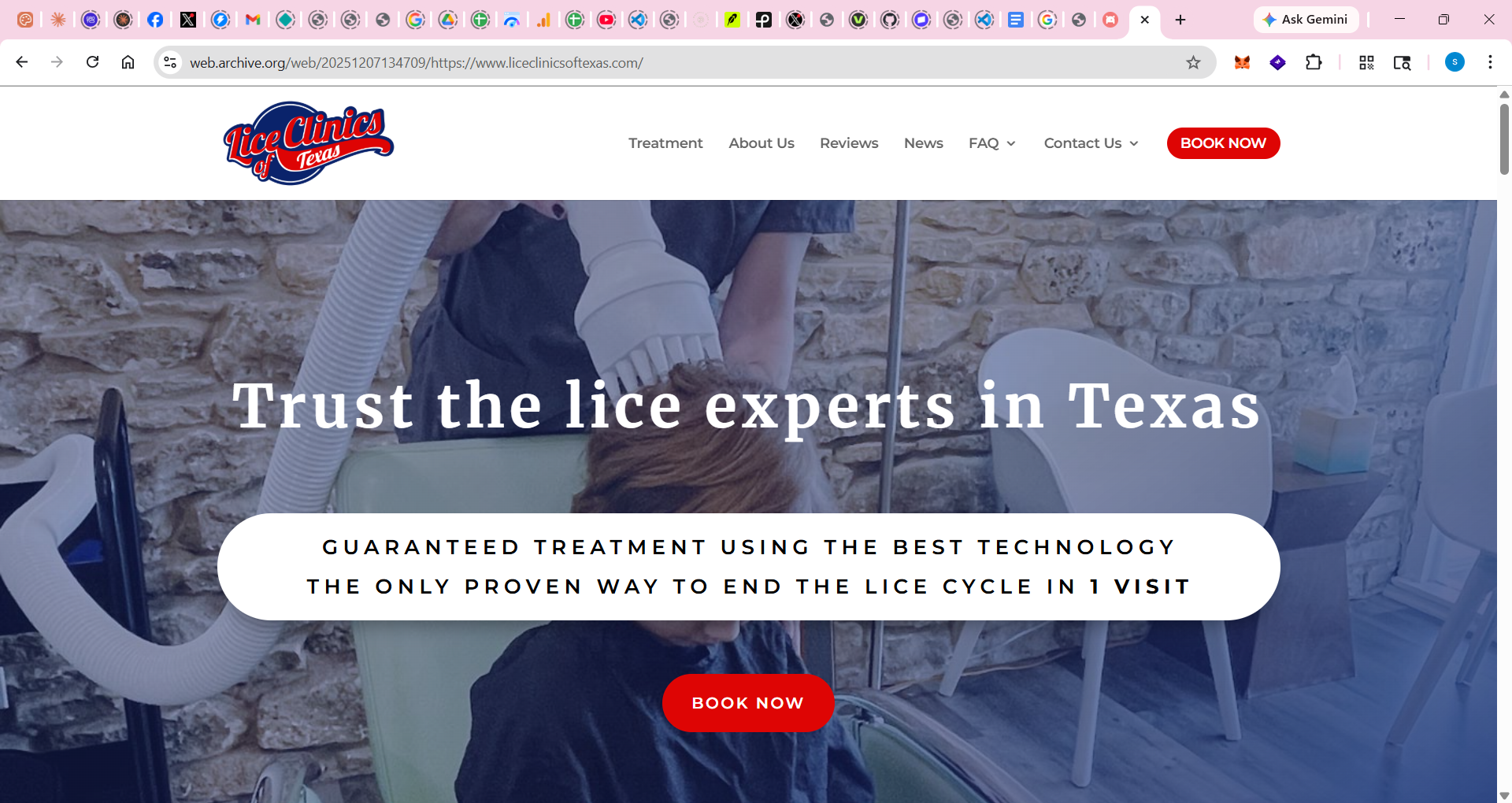 Lice Clinics of Texas homepage before rebuild, December 2025, archived via Wayback Machine